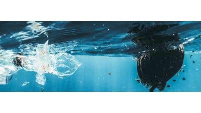 Just Kampers celebrates the Ocean Treaty with Surfers Against Sewage