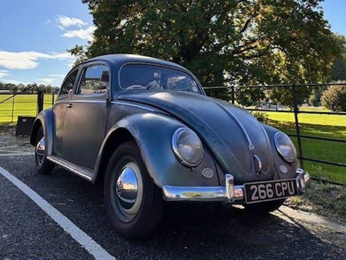 Spotty Dotty: The Next Chapter for the 1954 Oval Beetle