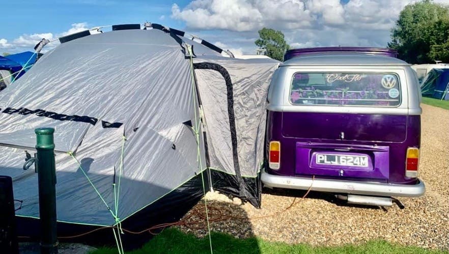 Meet Molly. A vision in purple