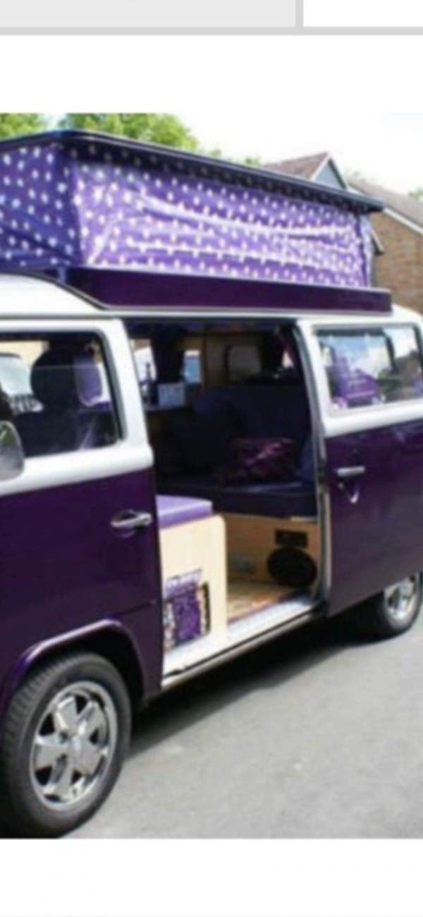 Meet Molly. A vision in purple