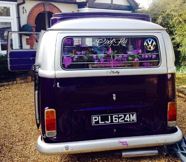 Meet Molly. A vision in purple
