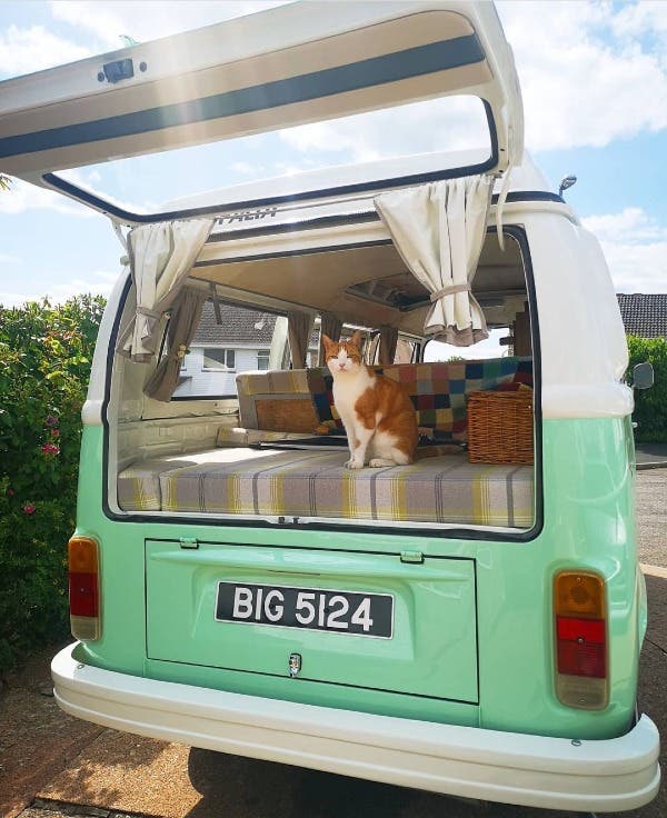 1974 T2 Westfalia Bay Camper