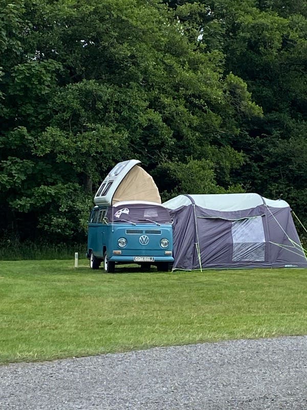 Earl the 1971 early bay