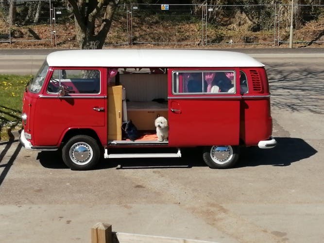 72 Bay Tintop for sale