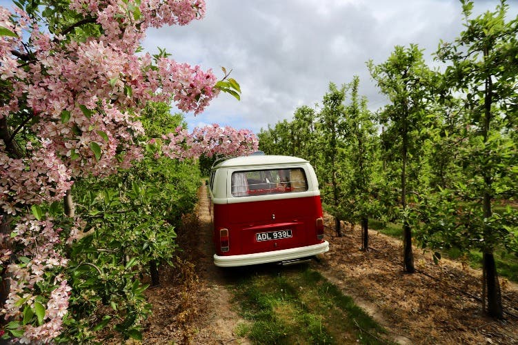 1972 VW T2 Bay Window Camper Van. Right Hand Drive. Walk Through. Restored Example. Lovely Spec.