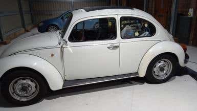 2000 Mexican Beetle