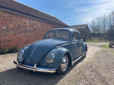 63 Resto Cal bug