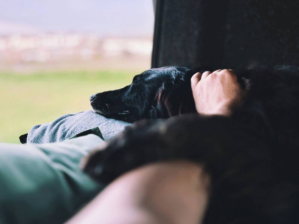 Image credit: Graham Smith, via Unsplash