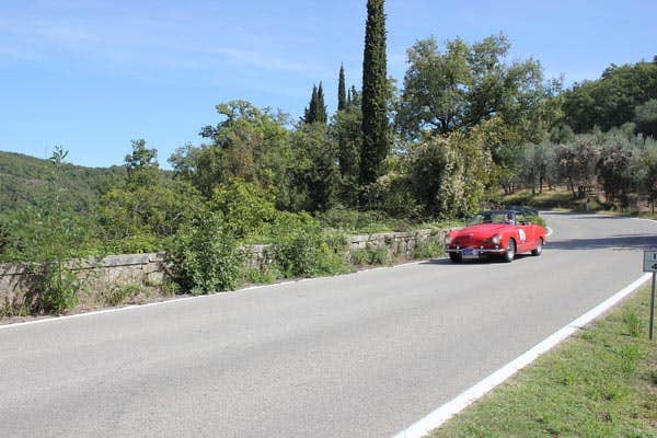 Gran Premio Nuvolari