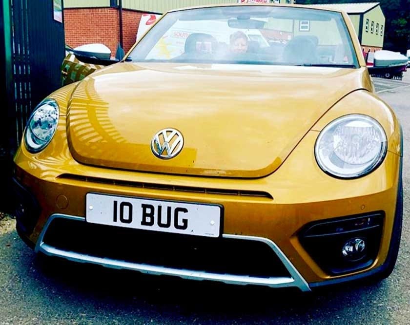 Gold 'Dune' Beetle