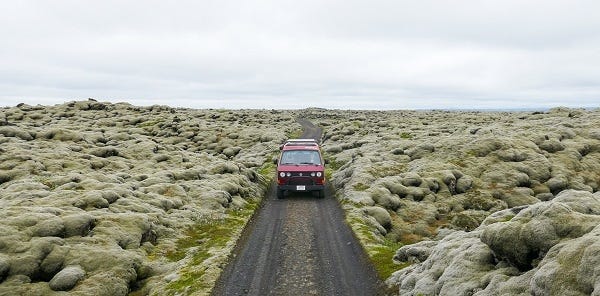 Lava Moss Field