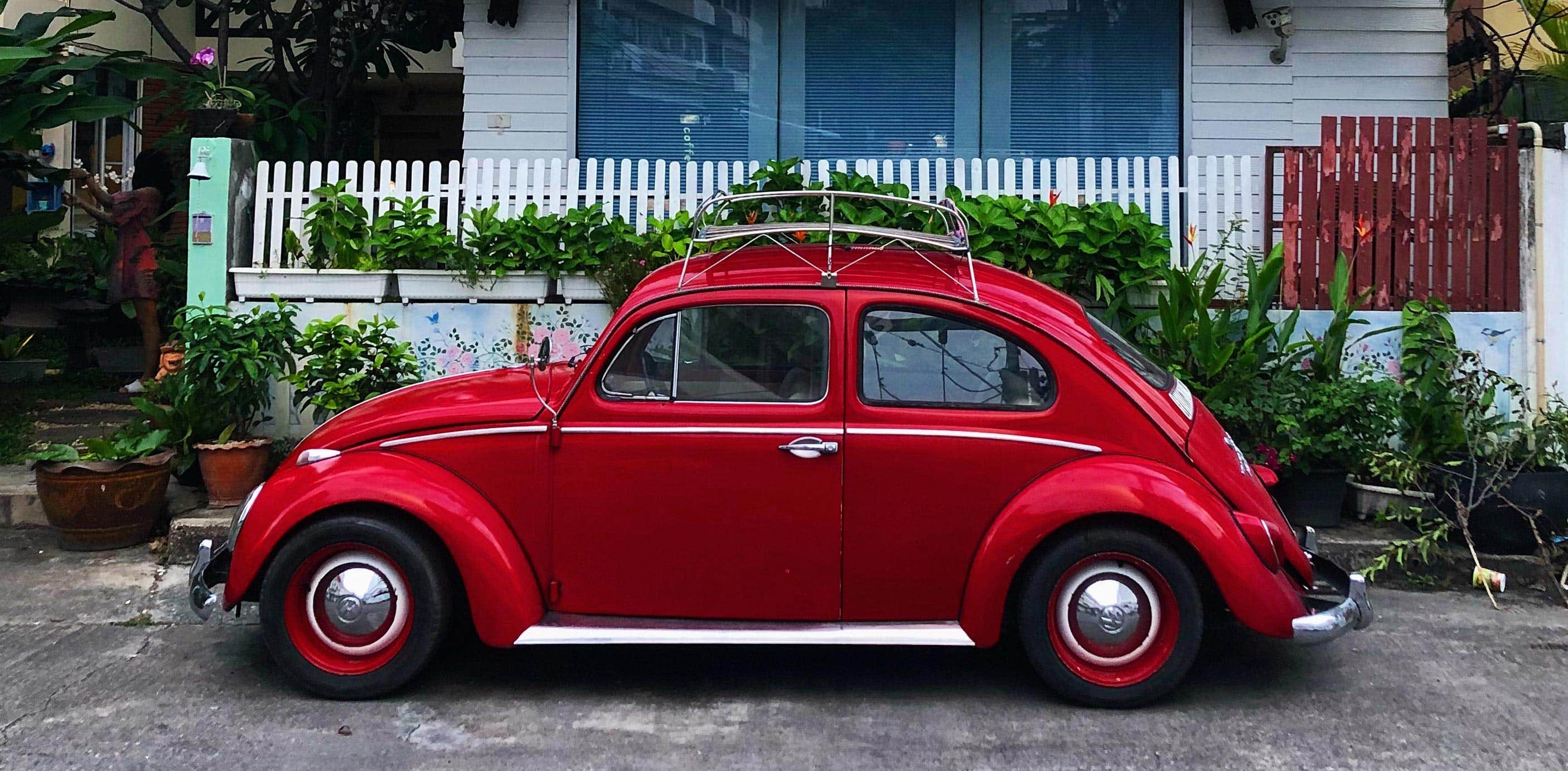 Beetle